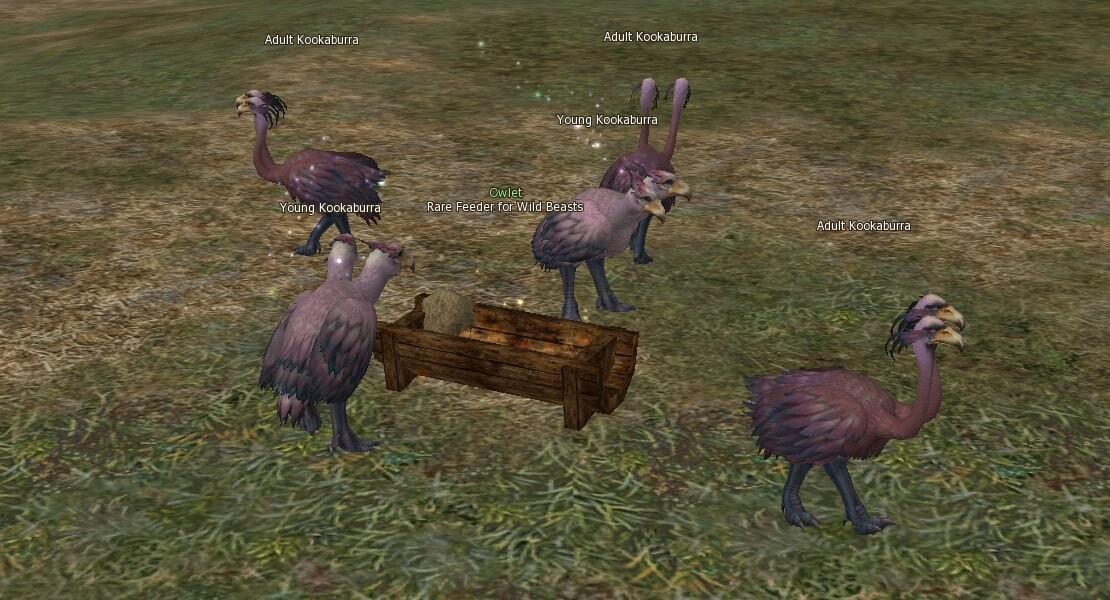 Rare Feeder for Wild Beasts mw