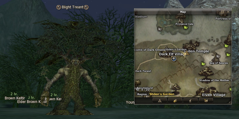 Blight Treant mw