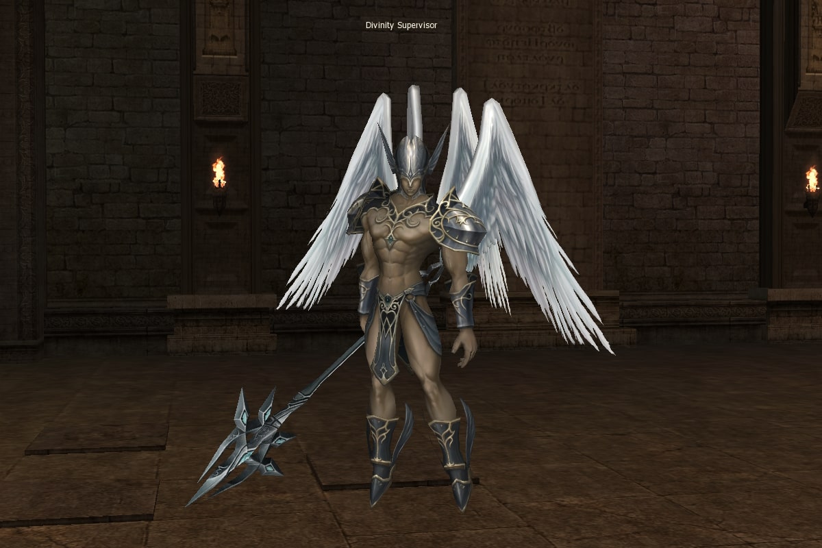 Divinity Supervisor eternal